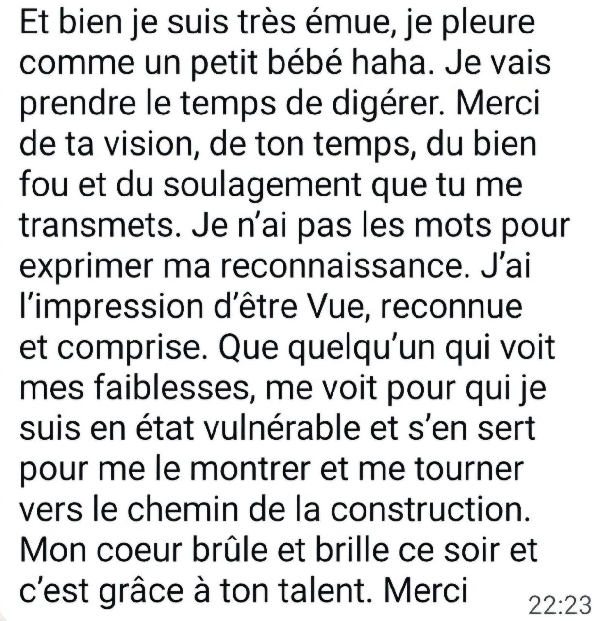 Vue, reconnue, comprise